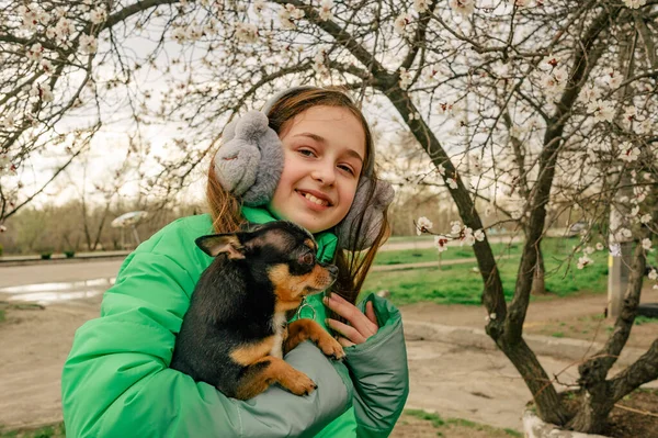 Tonårstjej Grön Jacka Med Chihuahua Armarna Våren Träd Blommar — Stockfoto