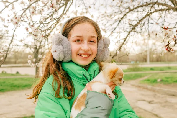 Adolescenta Într Jachetă Verde Cățeluș Chihuahua Brațe Primăvară Copacii Înfloresc — Fotografie, imagine de stoc