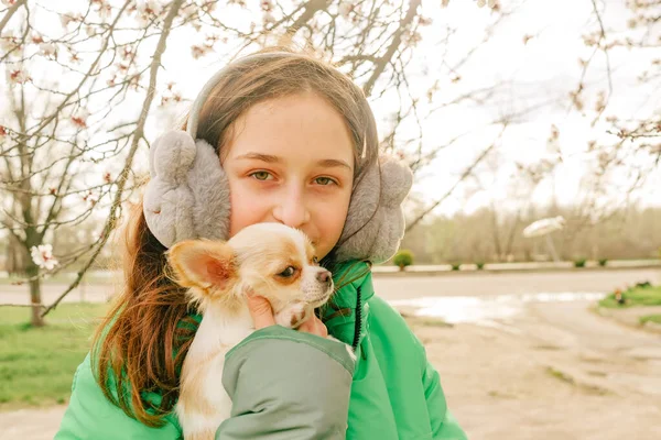 Tonårstjej Grön Jacka Med Chihuahua Valp Famnen Våren Träd Blommar — Stockfoto