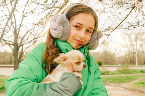 Ragazza Giacca Verde Con Cucciolo Chihuahua Tra Braccia Primavera Gli — Foto Stock