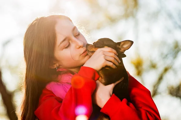 Menina Adolescente Chihuahua Natureza Menina Cão Pôr Sol Amor Pelo — Fotografia de Stock