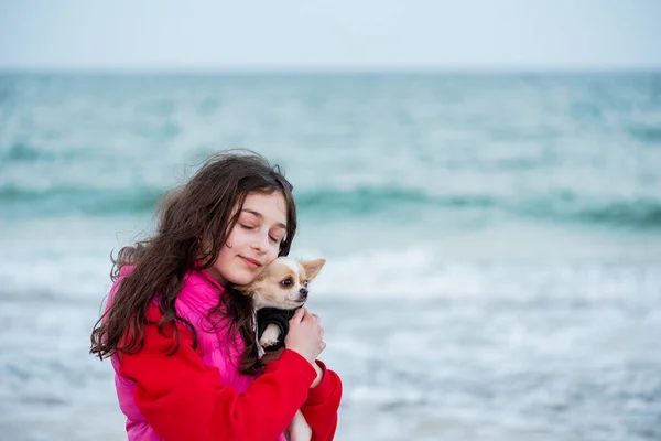 Menina Com Cão Chihuahua Praia Livre Menina Chihuahua Mar Mar — Fotografia de Stock