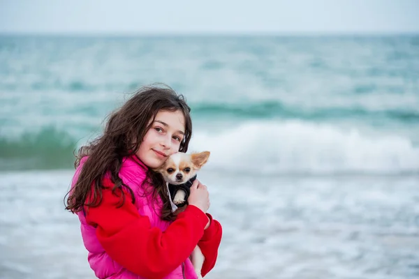 Menina Com Cão Chihuahua Praia Livre Menina Chihuahua Mar Mar — Fotografia de Stock