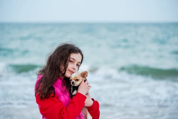 Menina Com Cão Chihuahua Praia Livre Menina Chihuahua Mar Mar — Fotografia de Stock