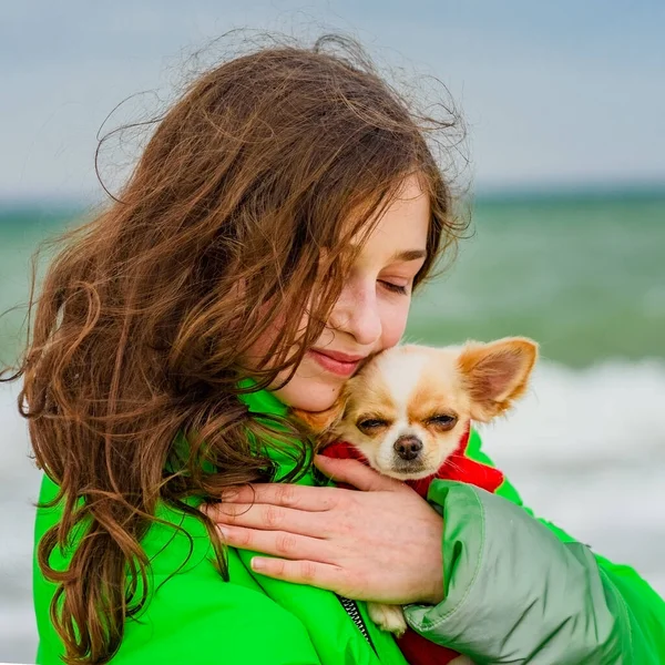Bambina Con Cane Chihuahua Riva Mare All Aperto Ragazza Chihuahua — Foto Stock