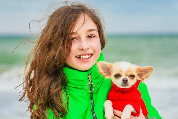 Fetiță Câine Chihuahua Malul Mării Aer Liber Fata Chihuahua Mare — Fotografie, imagine de stoc