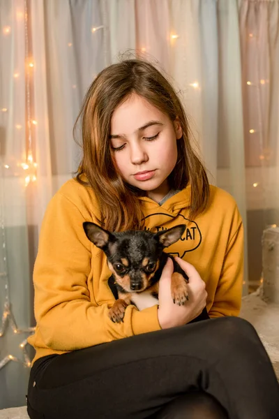 Adolescente Avec Chihuahua Dans Les Bras Chien Fille Chihuahua — Photo