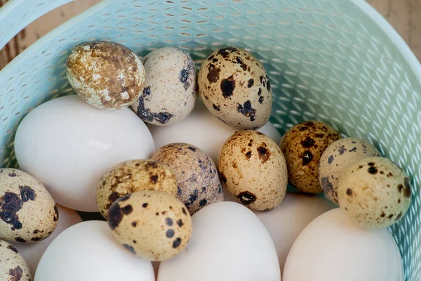 Багато Білих Курячих Яєць Перепелиних Яєць Пластиковому Кошику Вибірковий Фокус — стокове фото
