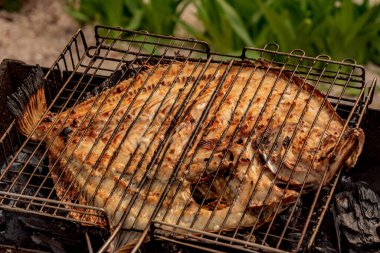 Dil balığı tel askıda kızartılır. Kızarmış dil balığı ızgarada pişmiş balık deniz ürünleri. diyet pesseeter.