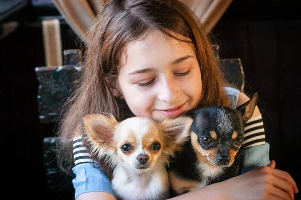 Ragazza Adolescente Caffè Casa Con Cani Una Ragazza Età Scolare — Foto Stock