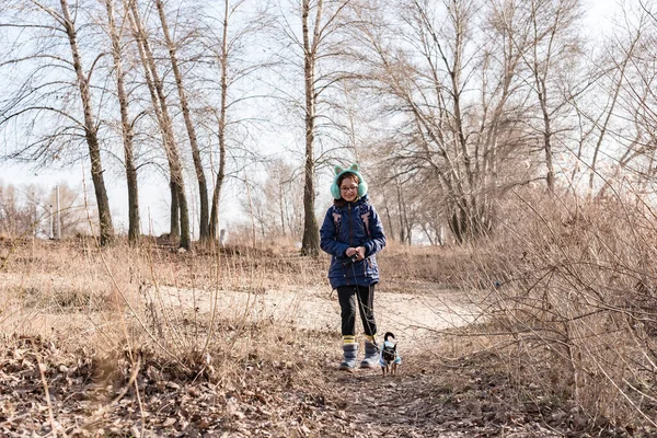 Adolescenta Pentru Plimbare Câinele Chihuahua Fată Jachetă Albastră Câine Chihuahua — Fotografie, imagine de stoc