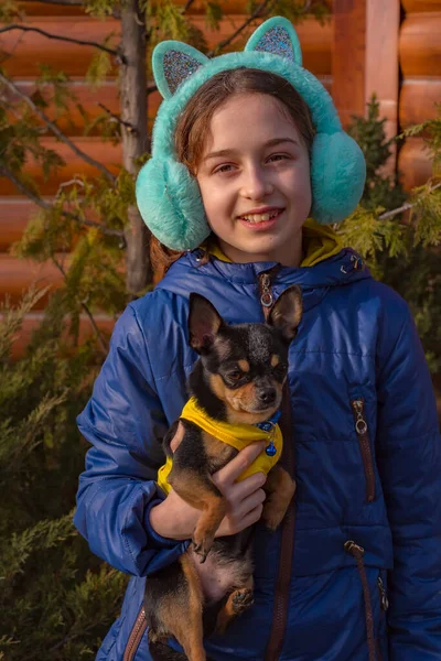 Ragazza Adolescente Una Passeggiata Con Suo Cane Chihuahua Ragazza Con — Foto Stock
