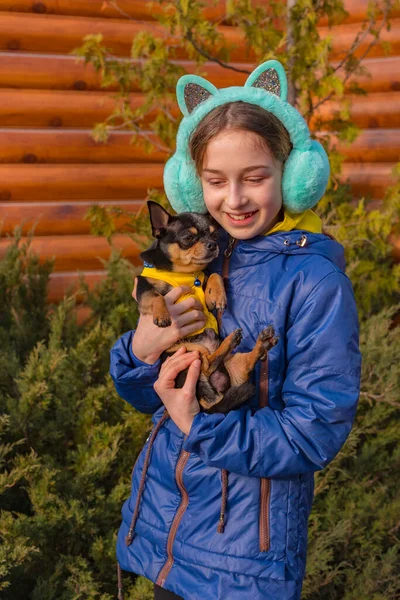 Adolescente Para Dar Paseo Con Perro Chihuahua Chica Con Chaqueta — Foto de Stock