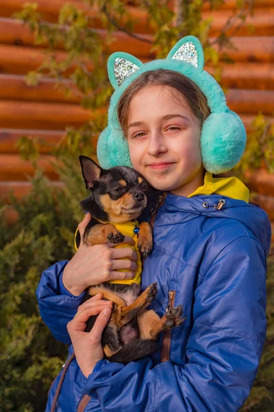 Adolescente Para Dar Paseo Con Perro Chihuahua Chica Con Chaqueta — Foto de Stock