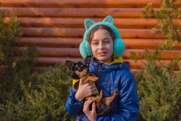 Adolescenta Pentru Plimbare Câinele Chihuahua Fată Jachetă Albastră Fata Câinele — Fotografie, imagine de stoc
