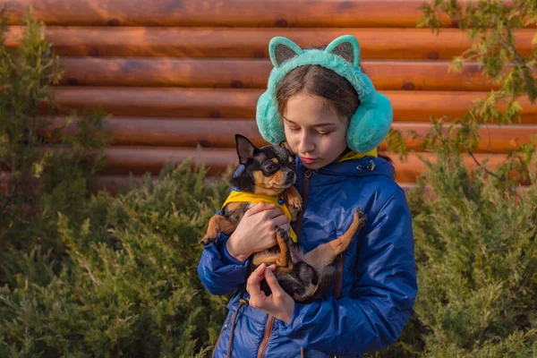 Tonårstjej Promenad Med Sin Chihuahua Hund Flicka Blå Jacka Flicka — Stockfoto