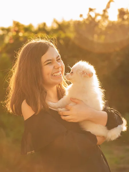 Teenager Mädchen Mit Hunderasse Spitz Freut Sich Inhalt Flauschige Welpen — Stockfoto