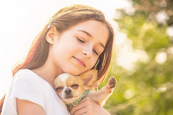 Menina Cachorro Branco Retrato Uma Jovem Com Chihuahua Cãozinho Fofo — Fotografia de Stock