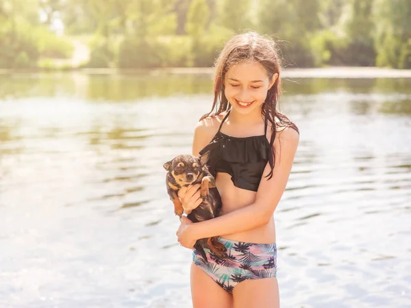 Девочка Подросток Своей Маленькой Собачкой Чихуахуа Девушка Собакой Солнечный Летний — стоковое фото