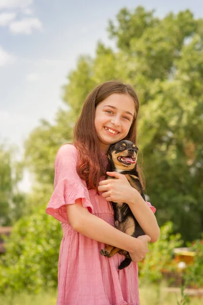 Uma Adolescente Com Cachorro Chihuahua Seus Braços Está Sorrindo Fundo — Fotografia de Stock