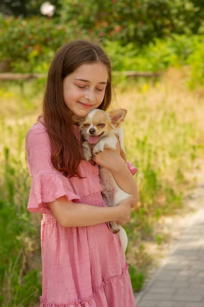 Adolescente Con Cachorro Chihuahua Perro Los Brazos Una Joven — Foto de Stock