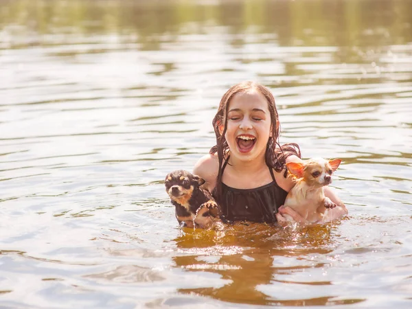 Uma Menina Com Dois Chihuahuas Nada Rio Criança Gosta Relacionamentos — Fotografia de Stock