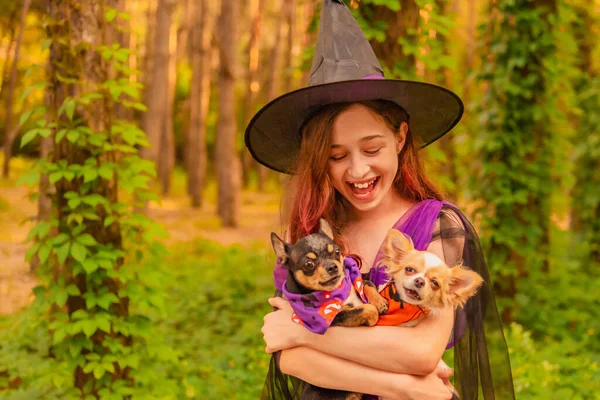 Concept Halloween Jeune Fille Costume Halloween Avec Deux Chiens Chihuahua — Photo
