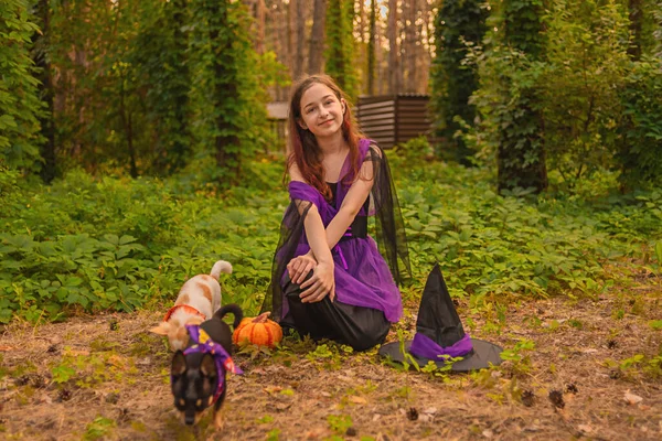 Jeune Fille Costume Halloween Avec Deux Chiens Chihuahua Dans Forêt — Photo