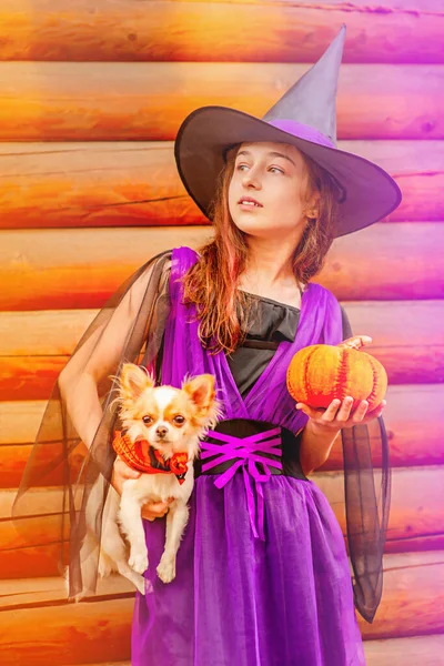 Jeune Fille Costume Halloween Avec Chien Chihuahua Concept Halloween — Photo