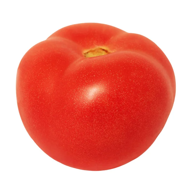 One Fresh Red Tomato Isolated White Background — Stock Photo, Image