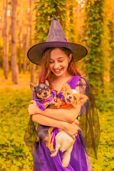 Halloween Jolie Petite Sorcière Belle Jeune Fille Avec Des Chiens — Photo