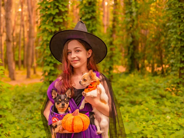 Adolescente Avec Deux Chiens Chihuahua Dans Forêt Halloween Concept Halloween — Photo