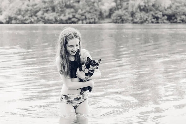 Adolescentă Câine Chihuahua Lângă Râu Fata Chihuahua — Fotografie, imagine de stoc