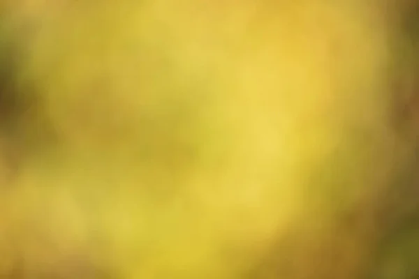 Απεστίαση Θολή Φθινοπωρινό Κίτρινο Φόντο Φύλλα Εκτός Εστίασης — Φωτογραφία Αρχείου