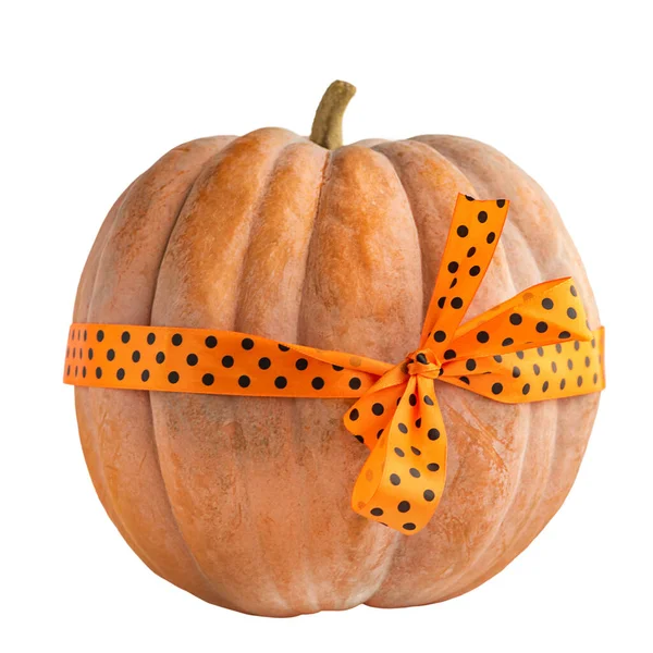 Selective Focus Halloween Pumpkin Halloween Pumpkin Orange Ribbon — Stock Photo, Image