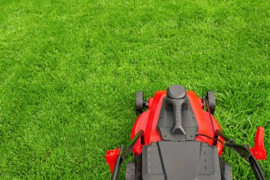 Garden care. A red and black lawn mower stands on the grass.