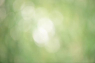 Abstract defocus light natural green background. Defocus light green, bokeh