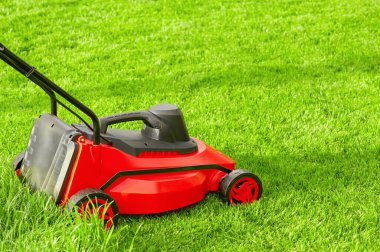 A red and black lawn mower stands on a green lawn