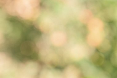 Natural background blurred defocus light plant. Defocuses are green, yellow and orange