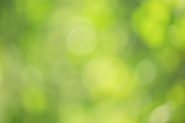 Doğal bulanık yeşillik, ağaç yaprakları dağılmış. Bitkilerin ışıklarını söndür