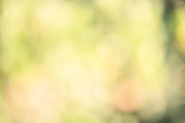 Sarı doğal defocus ışığı arkaplan ile çözünmüş yeşil