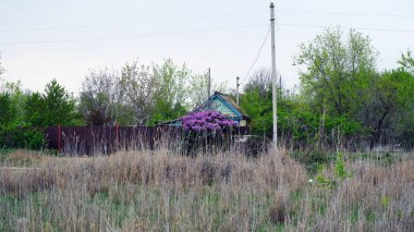Rusya 'daki yazlık evlerde binalar