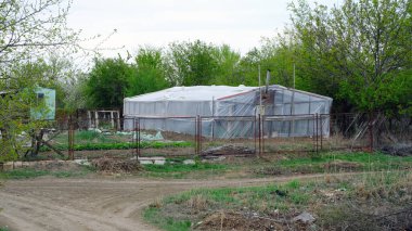 Rusya 'daki yazlık evlerde binalar