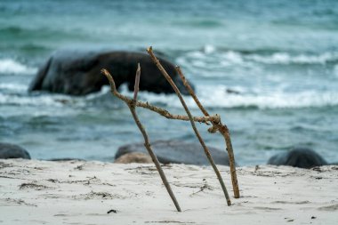 Baltık Denizi adası Ruegen 'de kumlara saplanmış tahta sopalar. Arka planda okyanus dalgaları var.