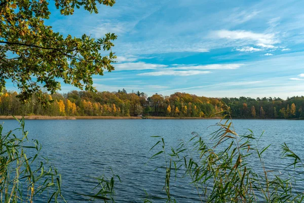 베르크 베르거 베르크에 그로서랑케 호수의 나뭇잎들이 — 스톡 사진