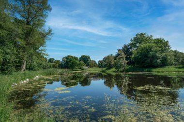 Gutspark Losentitz Ruegen adasında Zudar yakınlarında güneşli bir yaz gününde