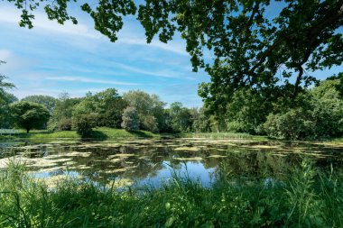 Gutspark Losentitz Ruegen adasında Zudar yakınlarında güneşli bir yaz gününde