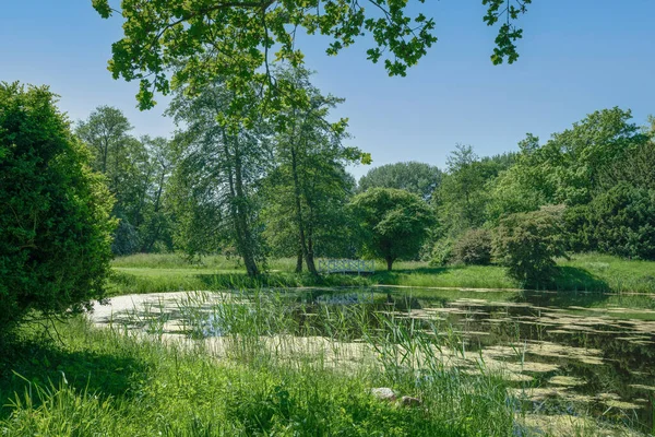 Gutspark Losentitz Ruegen adasında Zudar yakınlarında güneşli bir yaz gününde