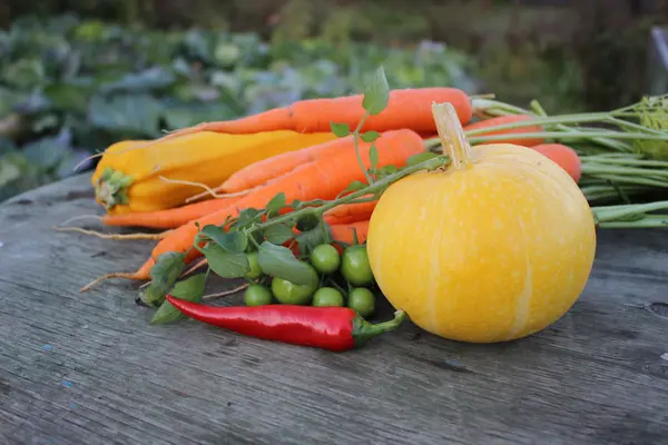 Vegetables on rustic table — Stock Photo, Image