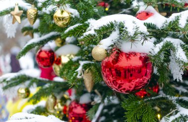 Kırmızı Noel topları karla kaplı bir Noel ağacının çam dallarında asılı. Parlak ve ışıltılı etki. Yılbaşı balosundaki insanları yansıtıyordu. Noel ve tatil konsepti